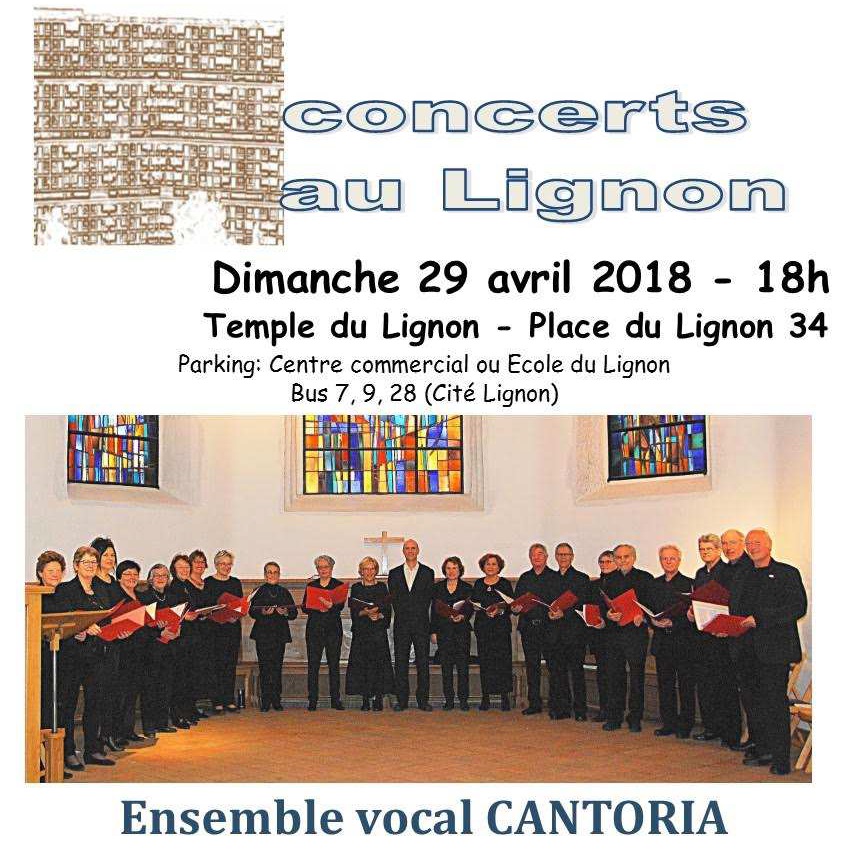 Affiche concert Lignon